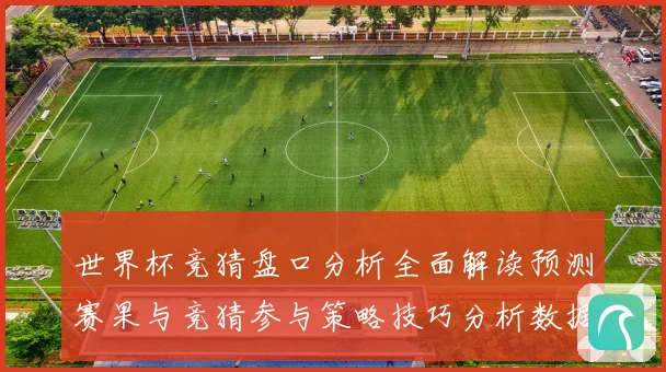 世界杯竞猜盘口分析全面解读预测赛果与竞猜参与策略技巧分析数据研判