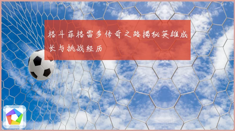 格斗菲格雷多传奇之路揭秘英雄成长与挑战经历