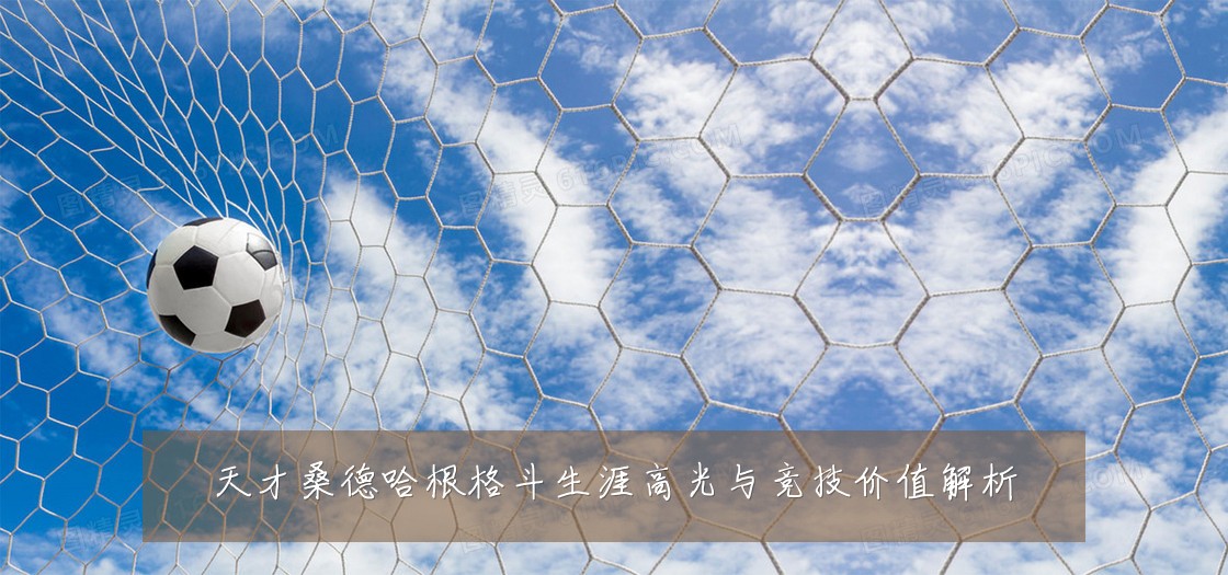 天才桑德哈根格斗生涯高光与竞技价值解析